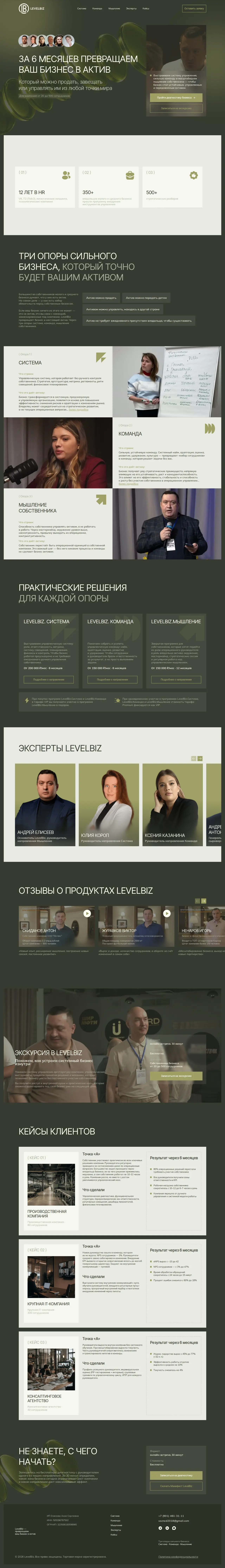 Сайт LevelBiz